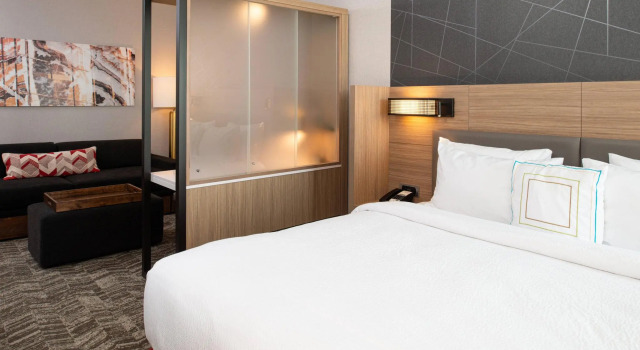 Двухместный люкс SpringHill Suites by Marriott Kansas City Northeast