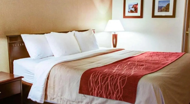 Номер Standard Quality Inn Florence