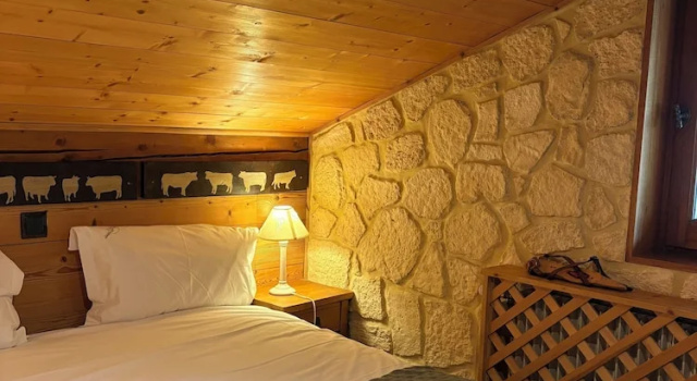 Двухместный номер Standard с балконом и с видом на горы Hôtel Chalet Alpage