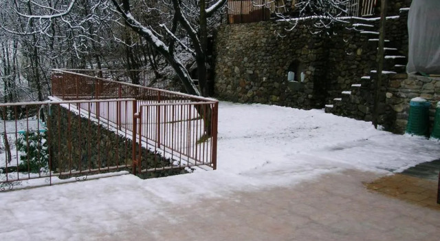Номер Standard B&B Al Carotin
