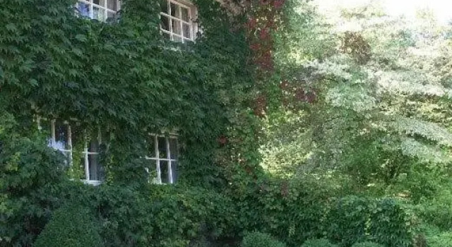Двухместный номер Standard Landhaus Ettenbühl Bed and Breakfast