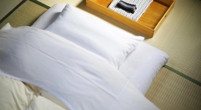Номер Standard Hinode Ryokan