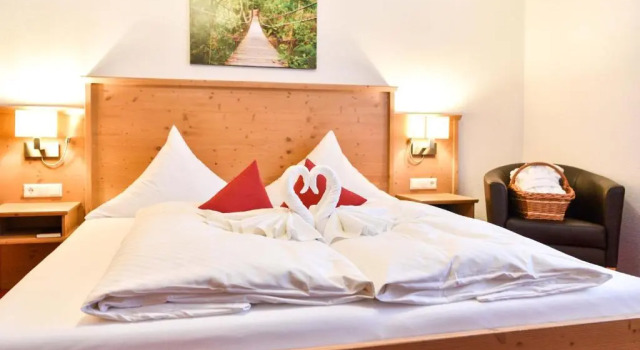 Двухместный номер Standard Burg Hotel Feldberg
