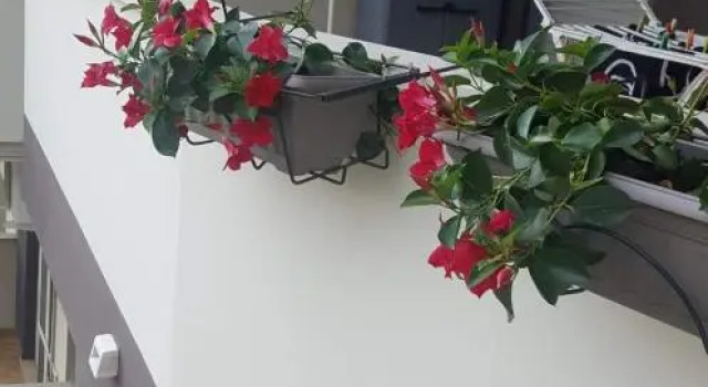 Casa vacanza, Book Hotel Hotels in Abruzzo with Parking, Parking