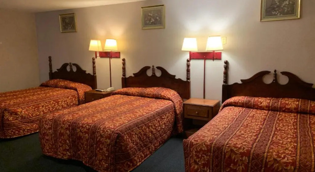 Трёхместный номер Standard Dutch Motel Palmyra
