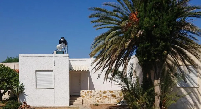 Апартаменты Villa Trypitos