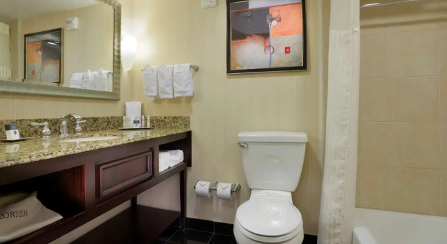 Четырёхместный номер Executive DoubleTree by Hilton Lafayette