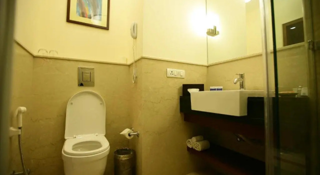 Одноместный номер Superior Muse Sarovar Portico Nehru Place