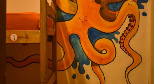 Кровать в общем номере B&B Hostel