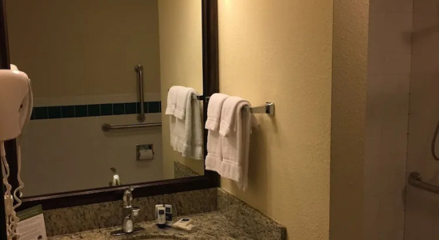 Четырёхместный номер Standard Blossom Hotel & Suites Traverse City