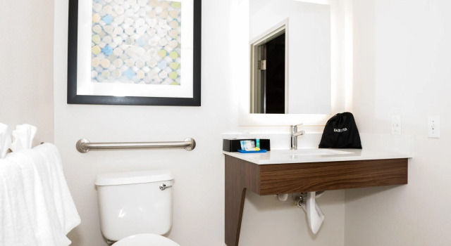 Номер Standard Holiday Inn Express Hotel & Suites Tampa-USF-Busch Gardens by IHG