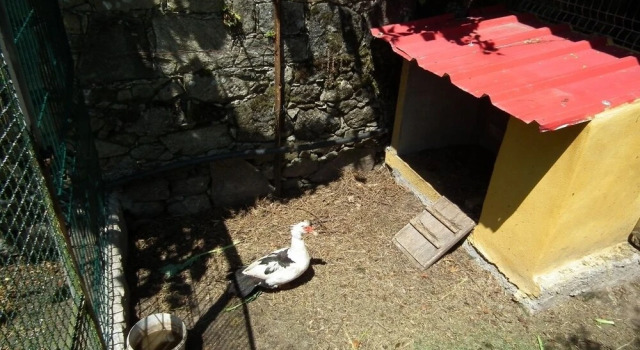 Casa Rosinha Maior