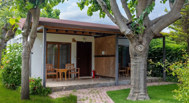 Номер Standard Caretta Caretta Pension