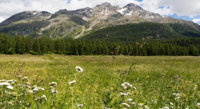 Двухместный номер Standard Hotel Europa Suites St Moritz