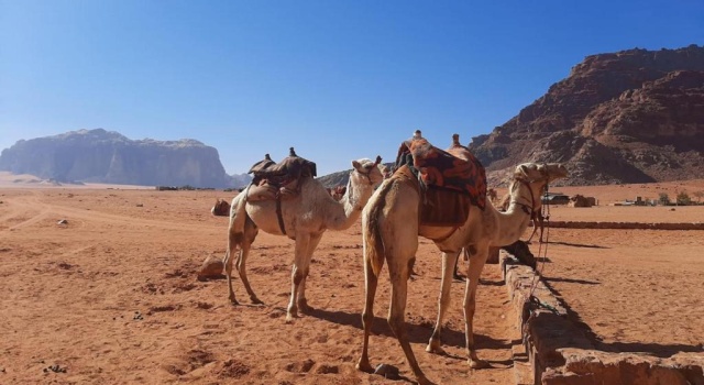 Wadi rum secrets camp
