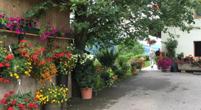 Haus Schwab, Rezerwuj Hotel Hotele w Salzburg z parkingiem, Parking
