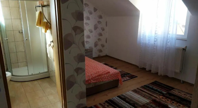 Номер Standard Pensiunea Vladut Timisoara