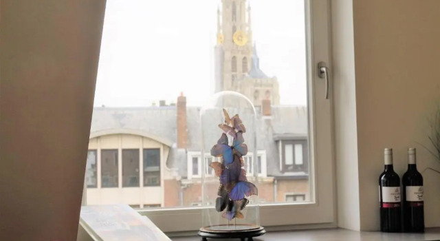 Апартаменты The Roof - BnB Antwerp Historic City Centre - FREE PARKING - GARAGE