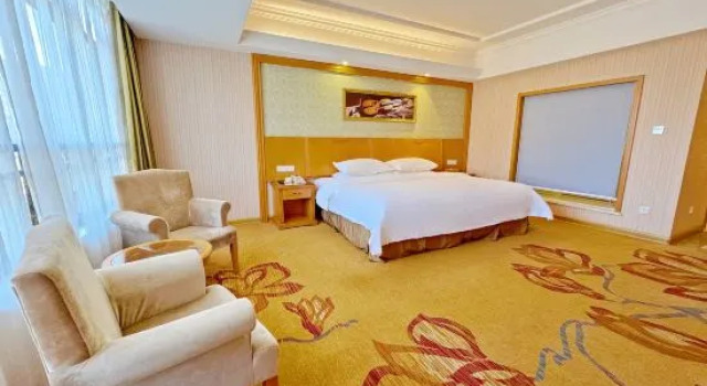 Люкс Superior Vienna Hotel (Quanzhou High-speed Railway Bus Station)