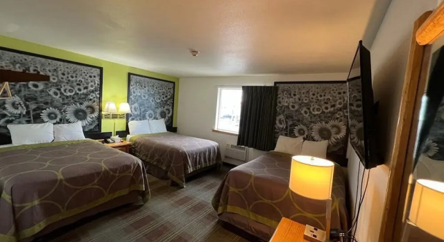 Номер Standard Super 8 by Wyndham Powell