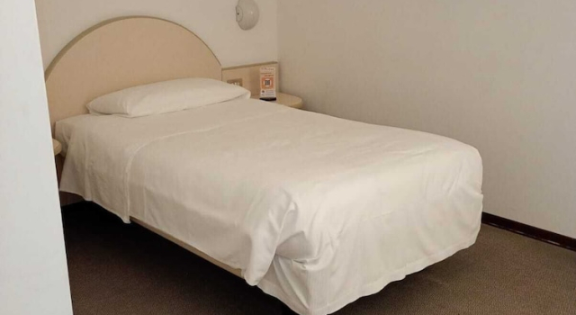 Одноместный номер Standard Hotel Des Alpes