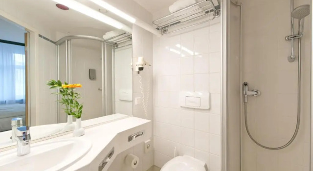 Habitación individual Estándar Hotel Kaiserin Augusta