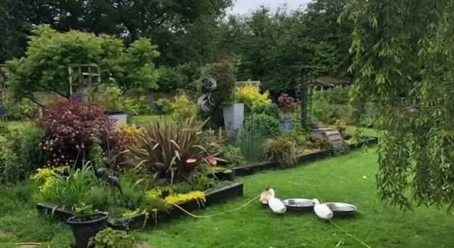 West View Lodge, Boek Bed and Breakfast Hotels in Basingstoke met ontbijt, Ontbijt