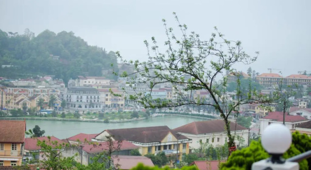 Трёхместный номер Standard с видом на горы Sapa Village Hotel