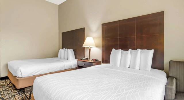 Четырёхместный номер Standard Best Western Plus Hobby Airport Inn & Suites