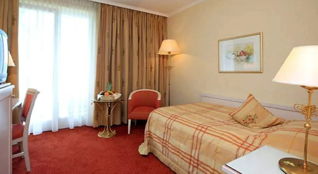 Одноместный номер Economy Hotel im Park