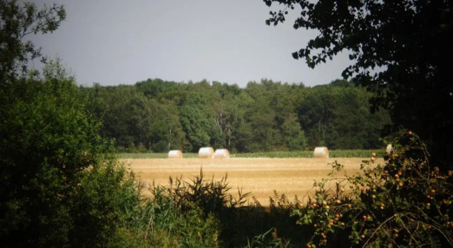 Kulübe L'Orée du Bois