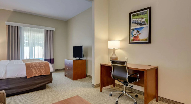 Люкс Comfort Inn & Suites Augusta Fort Gordon Area