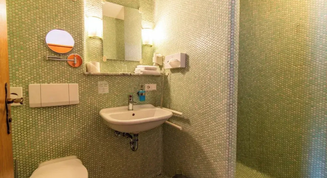 Одноместный номер Standard Hotel und Restaurant Nehrener Hof