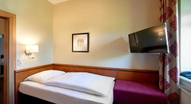 Одноместный номер Economy Hotel Eisbach