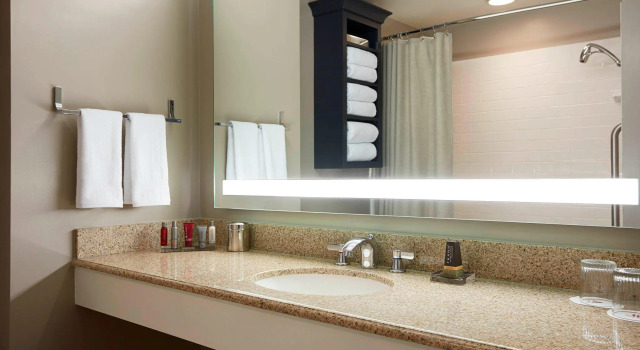 Двухместный номер Deluxe College Park Marriott Hotel & Conference Center