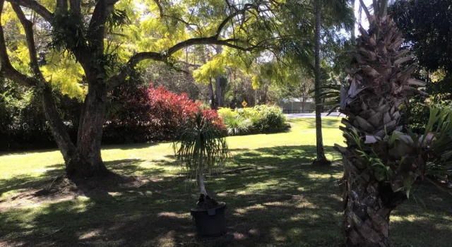 Семейный люкс Deluxe Buderim Fiesta Motel