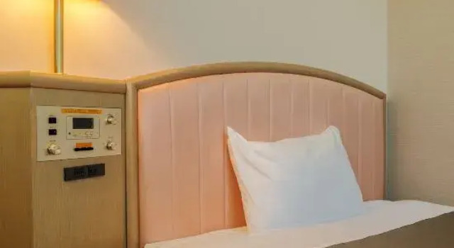Номер Standard Hotel Global View Iwaki