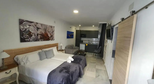 Одноместная студия Apartamentos Los Angeles