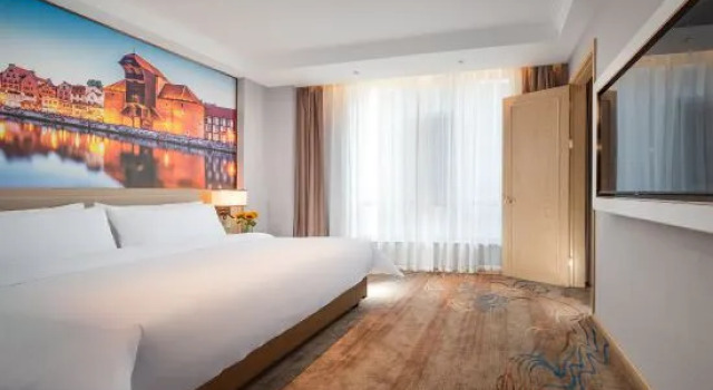Люкс Deluxe Vienna Hotel (Taiyuan Changsheng Wanda Wusu Airport)