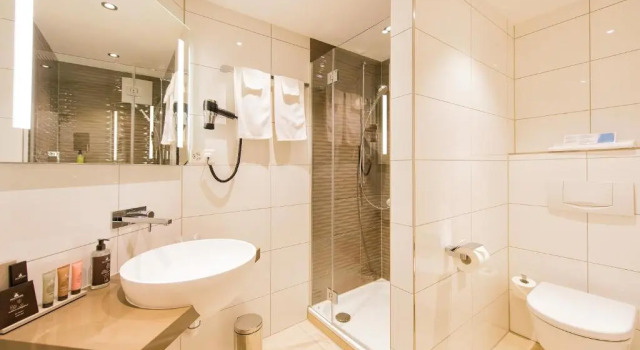 Двухместный номер Superior TOP SeminarHotel am Aegerisee Unteraegeri