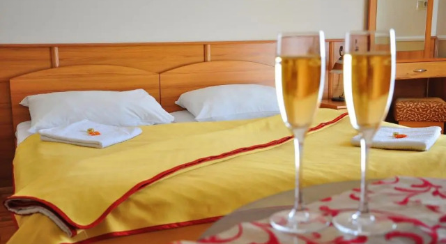 Двухместный номер Standard Nefelejcs Hotel