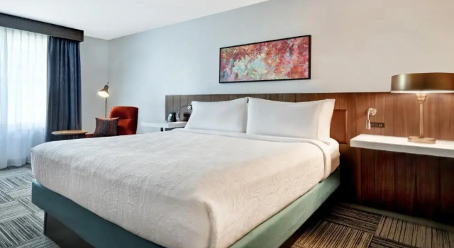 Двухместный номер Accessible Hilton Garden Inn Houston/Galleria Area