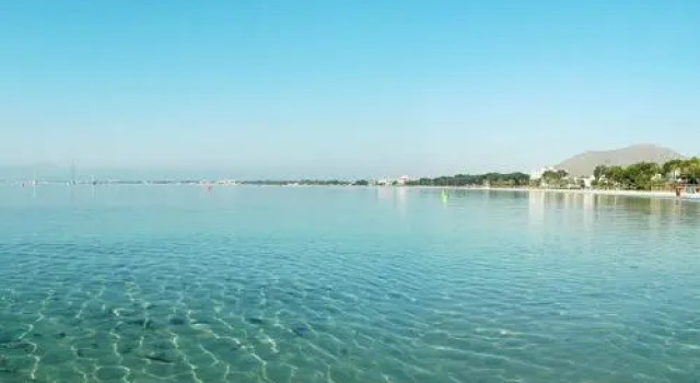 Apartment Coral, Book Apartment Alcudia Majorca