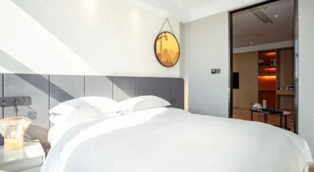 Двухместный люкс Business Juanke Forest Hotel
