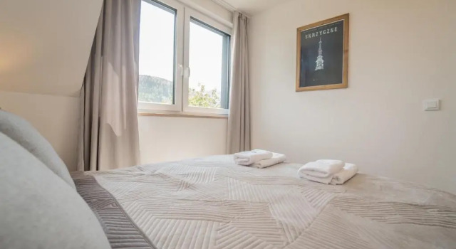 Osada Szczyrk - prywatna sauna&jacuzzi, Prenota Appartamento Szczyrk Silesia