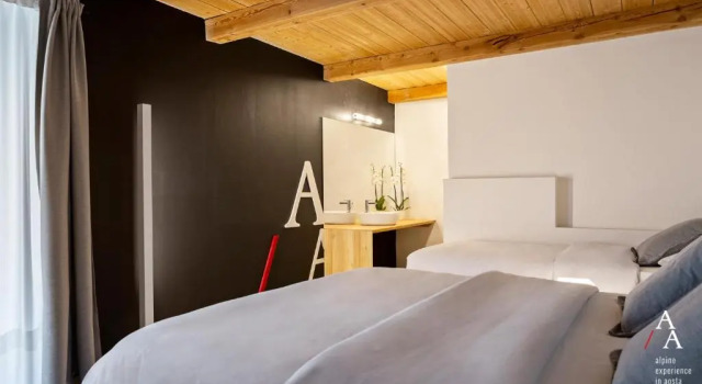 Alp Apartments - Tourneuve5