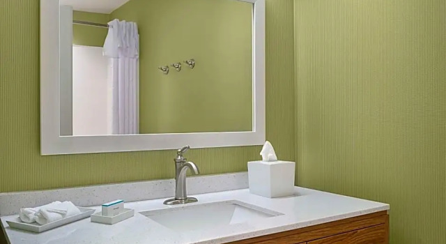 Двухместный номер Standard Home2 Suites by Hilton Greenville Airport
