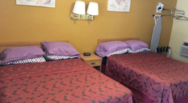 Двухместный номер Standard Timberline Motel