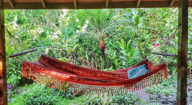 Вилла Luxury Geckoes Lodge