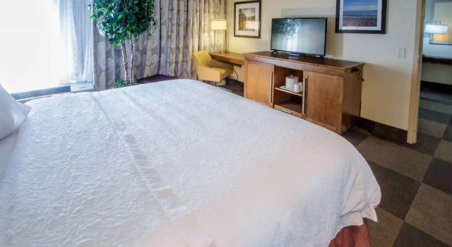 Номер Deluxe Hampton Inn South Haven